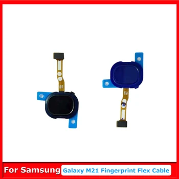 Кнопка Главного Меню Для Samsung Galaxy M21 M215F Touch ID Сканер Отпечатков Пальцев Гибкий Кабель Функции Возврата Запасные Части