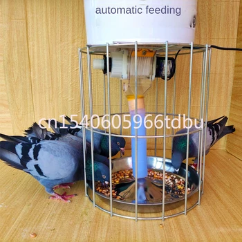 Устройство для кормления цыплят-голубей с фиксированной точкой отсчета 110/220 В Принадлежности для голубей, посуда, Автоматическая кормушка для голубей, кормушка для самопомощи